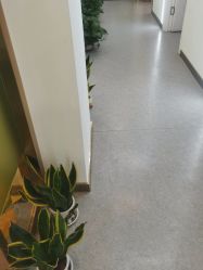 -苗医生0感科技祛痘