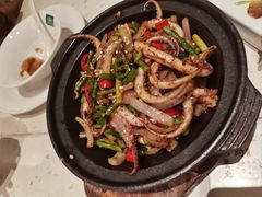 -青叶202都市餐厅(迪诺水镇店)