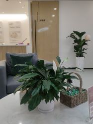 点击看大图 体验前-清颜堂丨分子祛痘·功效美肤