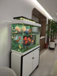 -丰联丽格医疗美容·联合丽格眼整形中心