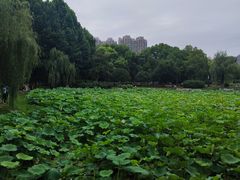 -堤角公园