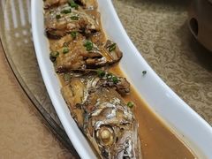 -天天鱼港·海鲜·鲅鱼水饺·招牌烤鸭(黄骅店)