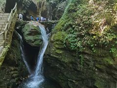 -牛背梁国家森林公园