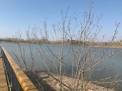 -东郊湿地公园