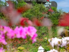 -玉苍山国家森林公园