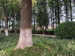 -太湖湖滨国家湿地公园-停车场