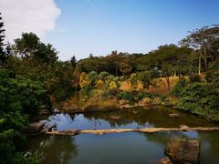 -云溪植物园