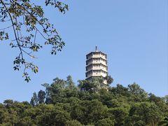 -深圳国际园林花卉博览园