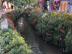 -小厨子私房菜·云南美食店