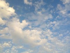 -艾溪湖湿地公园