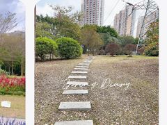 -福田红树林生态公园