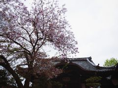 -有栖山 清光院 清水寺
