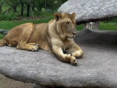 -北京野生动物园