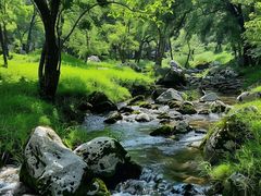 -玉渡山自然风景区