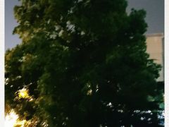 -南京东南眼科医院·近视手术·儿童近视·综合眼病