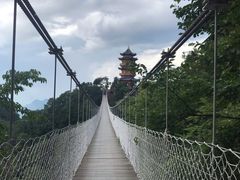 -塔云山