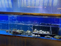 -白仁仔· 活烤海鲜 宵夜(豫园店)