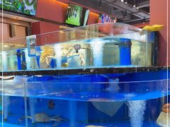 水产区-张家卫·阳江菜·小海鲜(肥婆湾桥店)