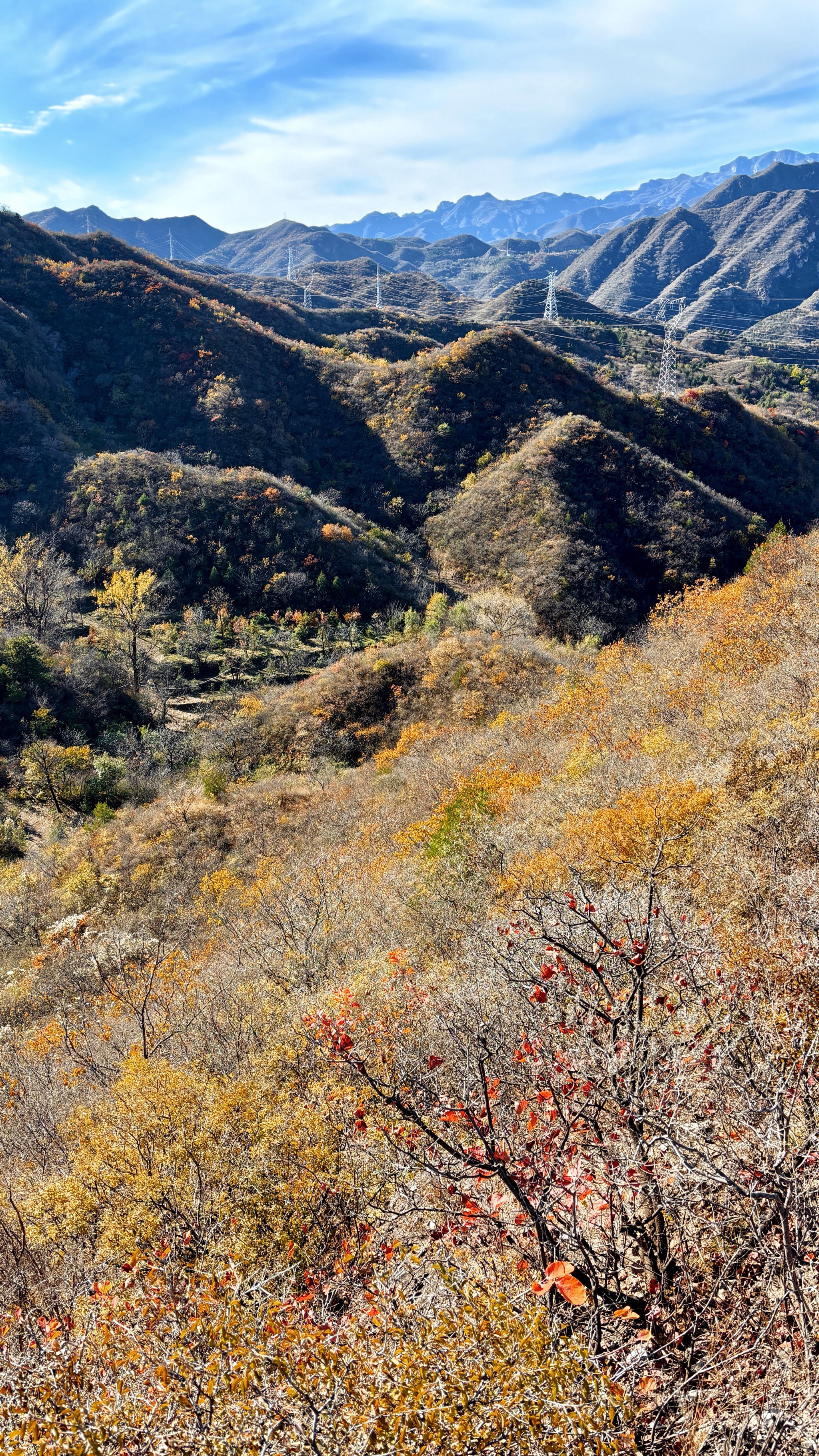 鹿寨山环山步道图片