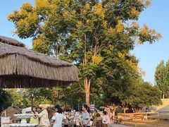 -HERRE·FARM 赫尔露营农场·团建聚会包场