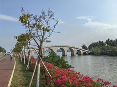 -万绿园