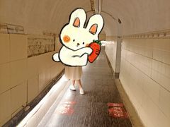 -洞庭洲·防空洞火锅·烧烤·铜锅涮肉(新百广场店)