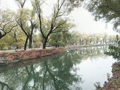 -颐和园