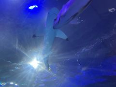 -沈阳海洋探索中心