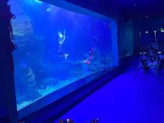 -多彩贵州城极地海洋世界