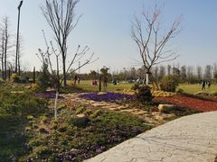 -上海长兴岛郊野公园