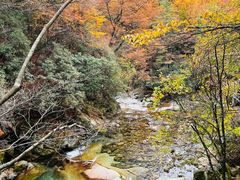 -光雾山旅游景区