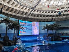 -海合安成都极地海洋公园