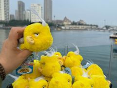 -大连圣亚海洋世界
