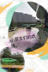 -可可天空农场(中大店)
