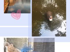 -清迈夜间动物园