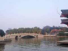 -唐御宴•御宴宫•唐代菜点(芙蓉西路店)
