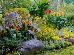 -东莞植物园
