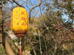 -灵岩山风景区