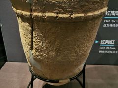 -盘龙城国家考古遗址公园