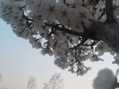 -南京邮电大学(仙林校区)