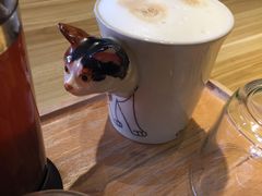 -猫猫幼稚园·撸猫·桌游·电玩