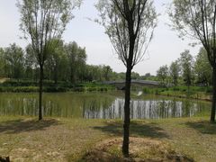 -东郊湿地公园