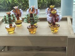 -云溪植物园