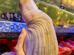 -巽寮印象美食部落餐厅·海鲜·地方特色菜(惠州体验店)