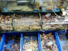 水产区-香满居张记小厨私房菜(青岛站店)