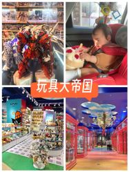 -Hamleys 玩具王国(杭州店)