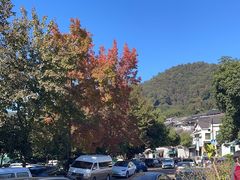 -礼耕堂·百年茶人餐厅(梅家坞店)
