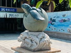 -广东惠东海龟国家级自然保护区