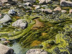 -白塘生态植物园