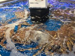 -盒马X会员店(上海森兰商都店)